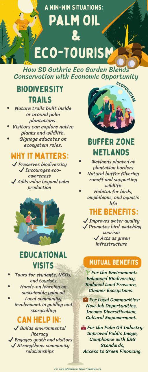 A Win-Win Situation: Palm Oil🌴 & Eco-Tourism🏞️